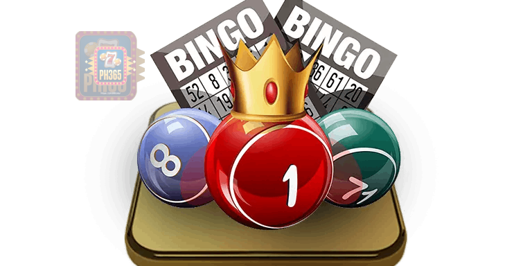 bingo bet ph365