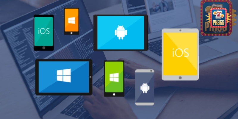 Multi-Platform Compatibility